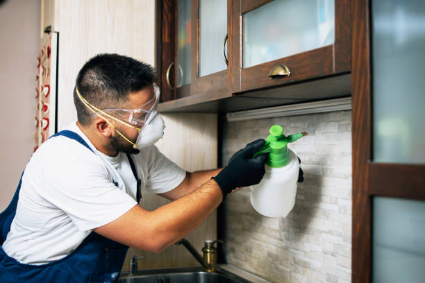 Best Pest Prevention Services  in Burgettstown, PA