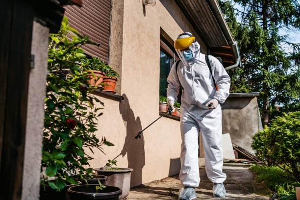 Best Emergency Pest Control  in Burgettstown, PA