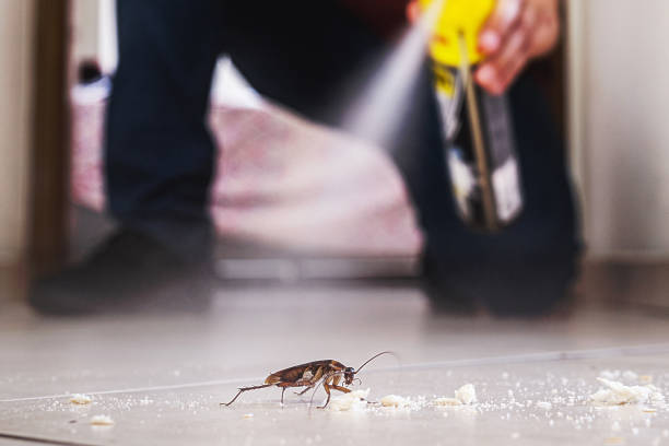 Best Local Pest Control Services  in Burgettstown, PA