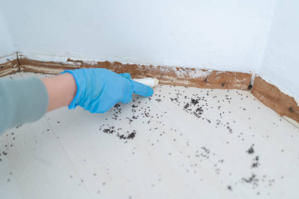 Best Exterminator Services  in Burgettstown, PA